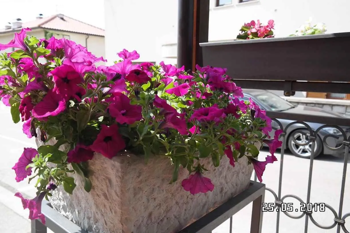 Apartments In Novi Vinodolski 35132 0*,  Croatia